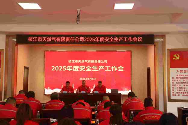 攜手共筑安全防線(xiàn)，共創(chuàng)安全生產(chǎn)新篇章——2025年度安全生產(chǎn)工作會(huì)議圓滿(mǎn)召開(kāi)